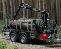 Bild zu Kaminholz Transport Stamm Langholz Transport